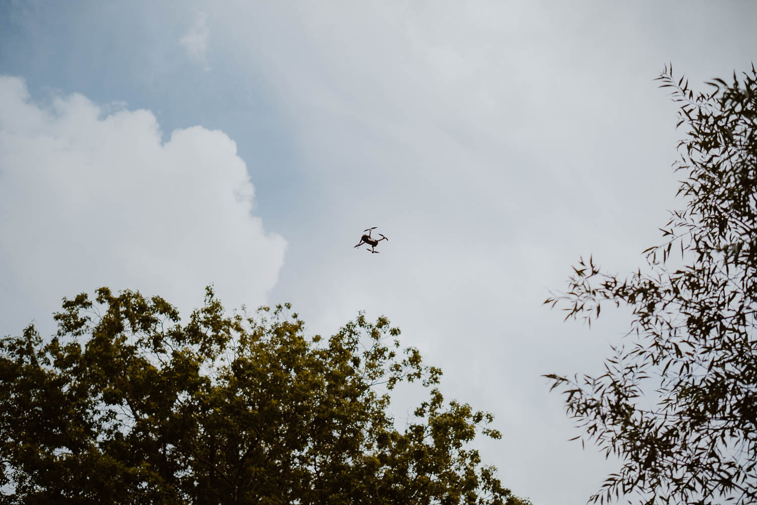 reportage photo groupe fun mariage— Rives de Grandlieu - 44